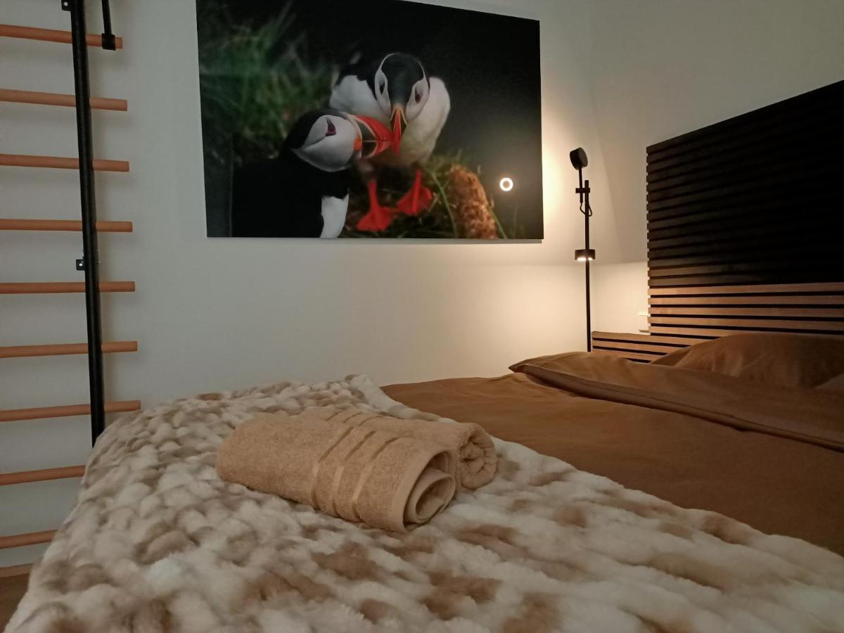Puffin Nest, Superior Apartment Reykjavik Luaran gambar