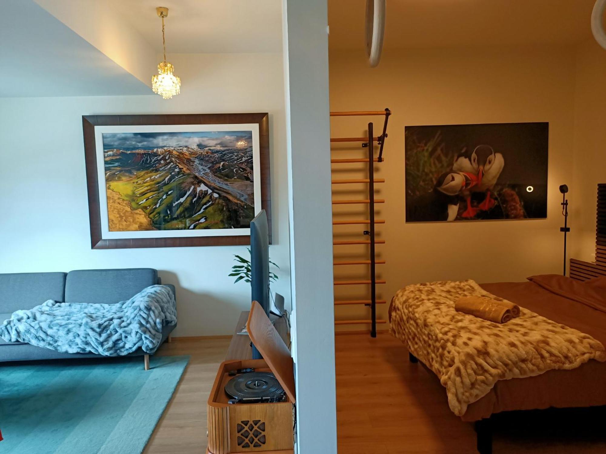 Puffin Nest, Superior Apartment Reykjavik Luaran gambar